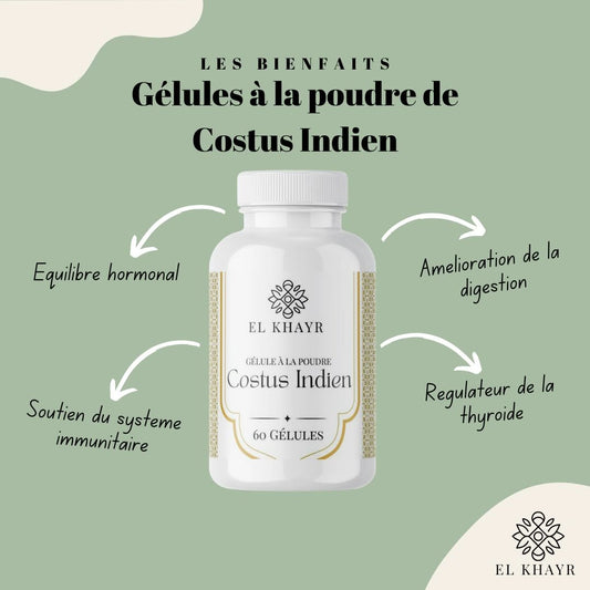 60 gélules de poudre de Costus Indien