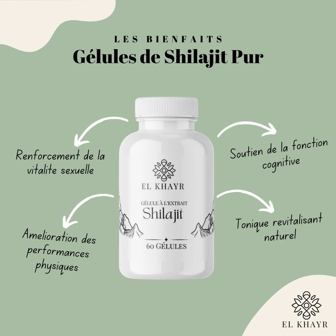 60 gélules de Shilajit pur de l'Himalaya