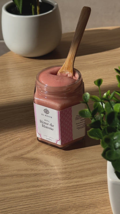 باك ديو سيغنيتور